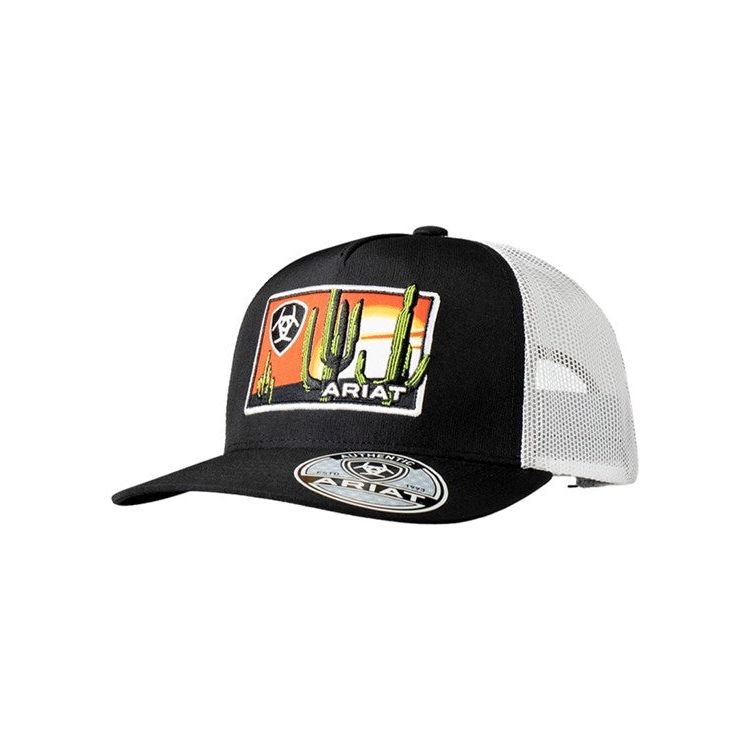 Desert Scene Patch Cap