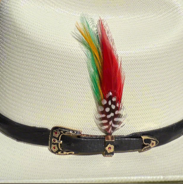500X Chaparral Sombrero