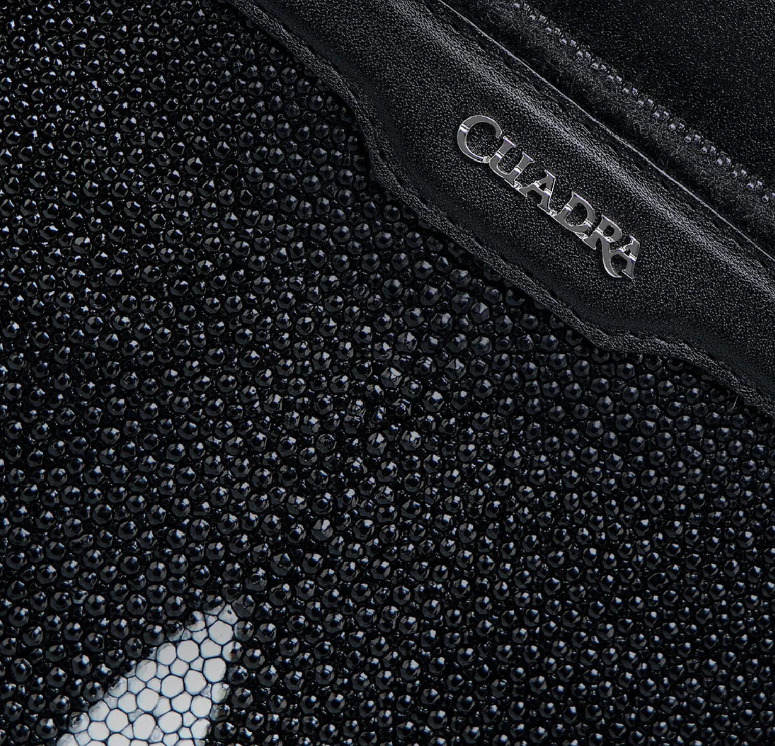 Men's Black Stingray Zipper Bag