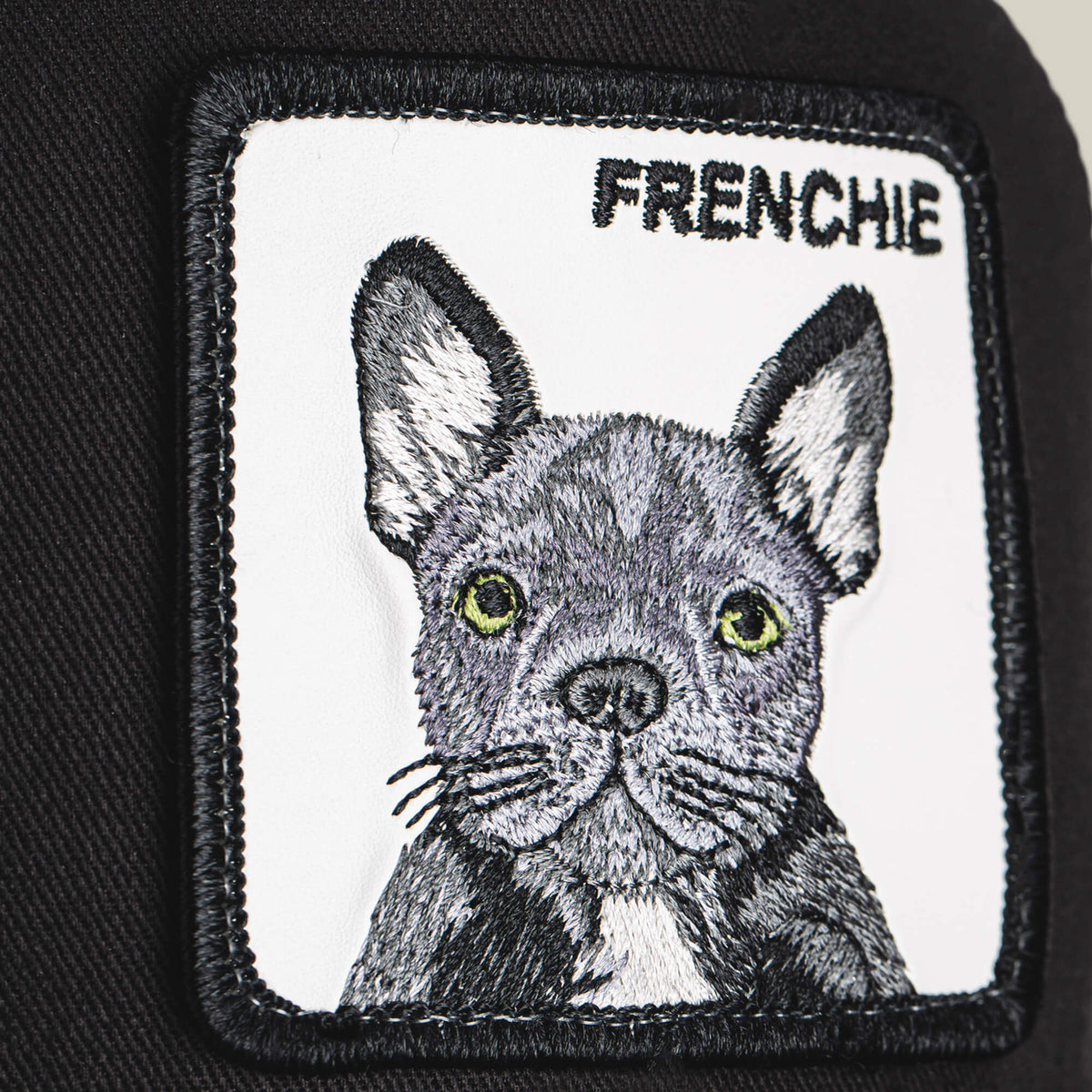 The Frenchie Dog