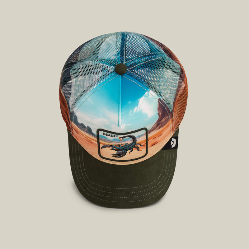 Scorpion In The Element Hat