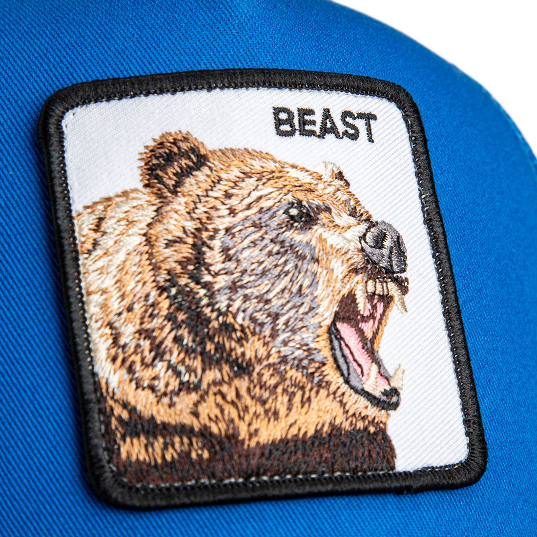 The Beast Bear