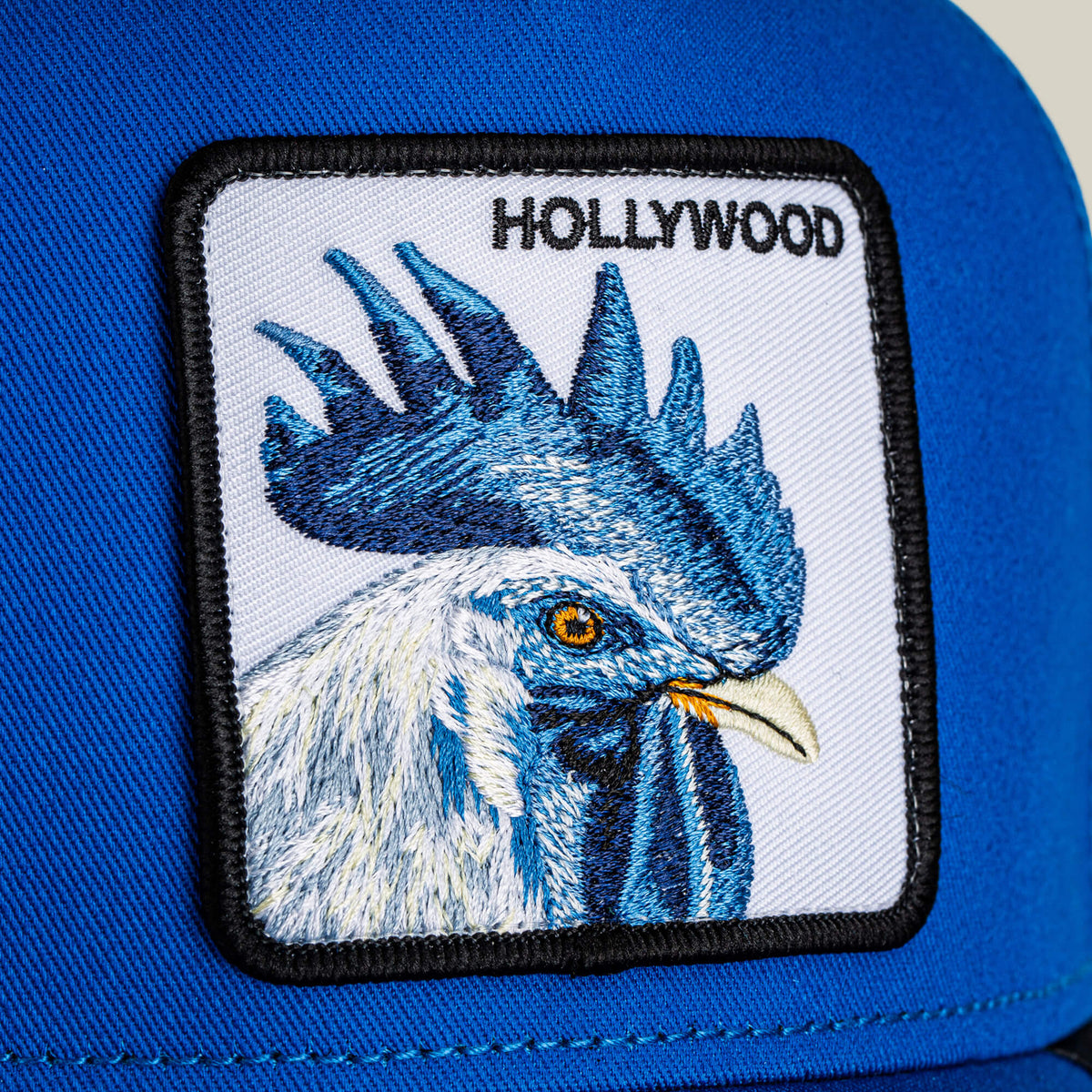 Hollywood Rooster