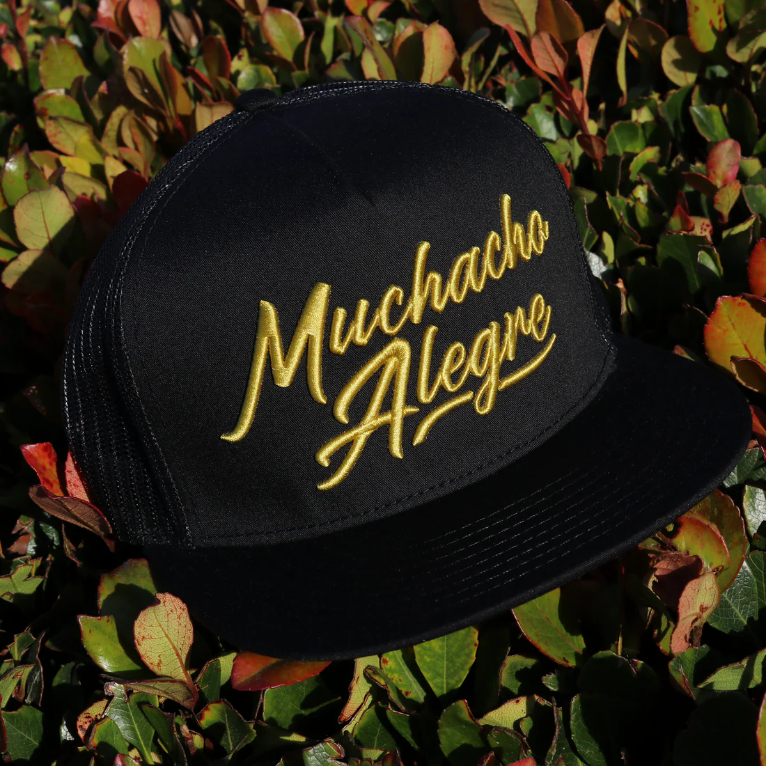 Muchacho Alegre Black Flat Visor Hat
