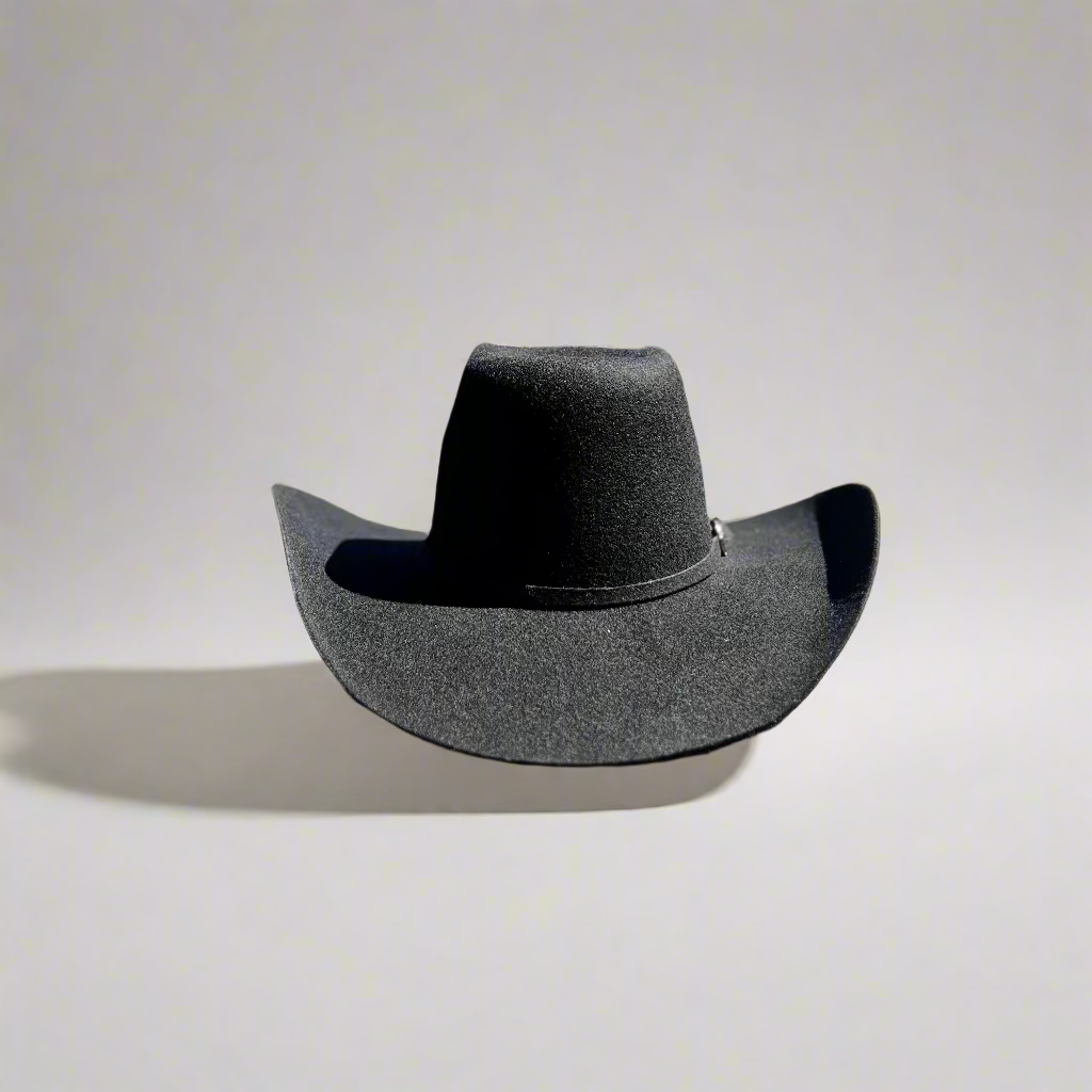 Felt Hat 30x