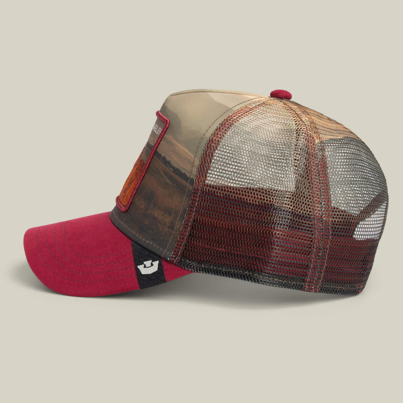 Stallion In The Element Hat