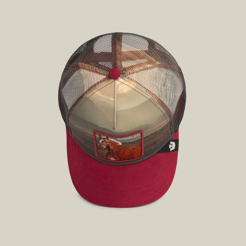 Stallion In The Element Hat