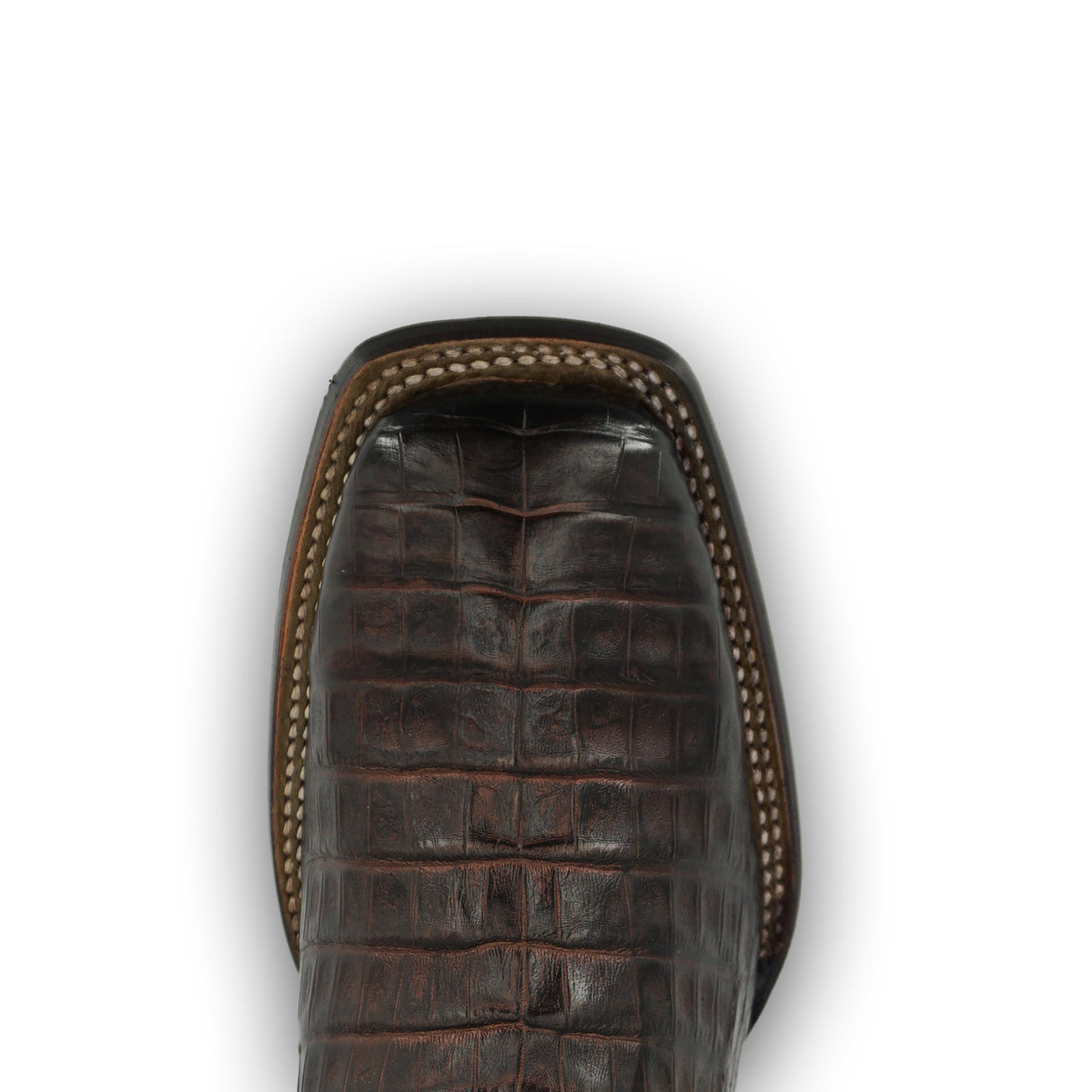 Brown Caiman Zipper & Elastic Square Toe