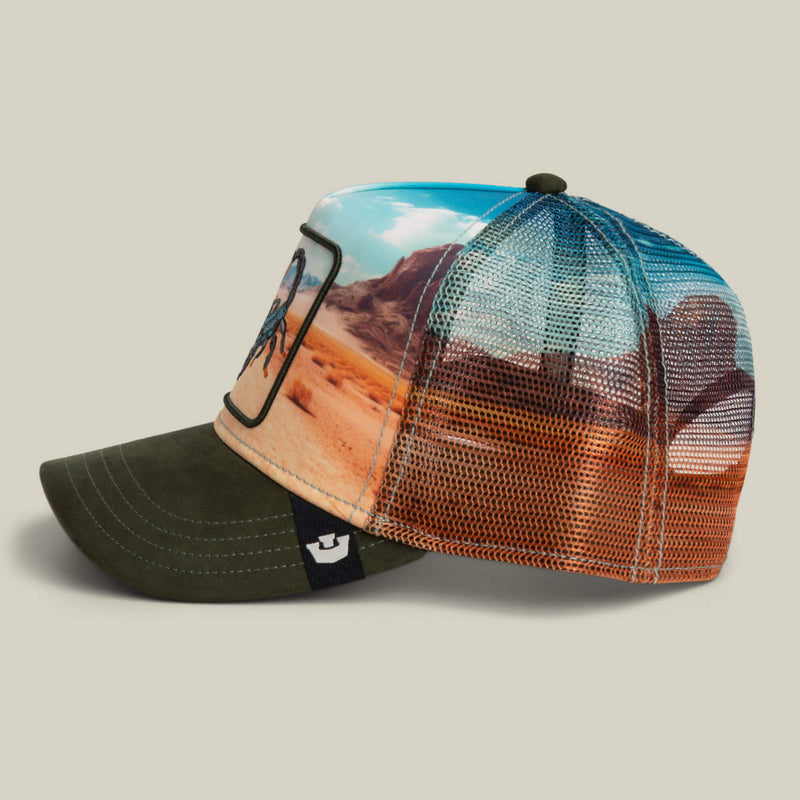 Scorpion In The Element Hat