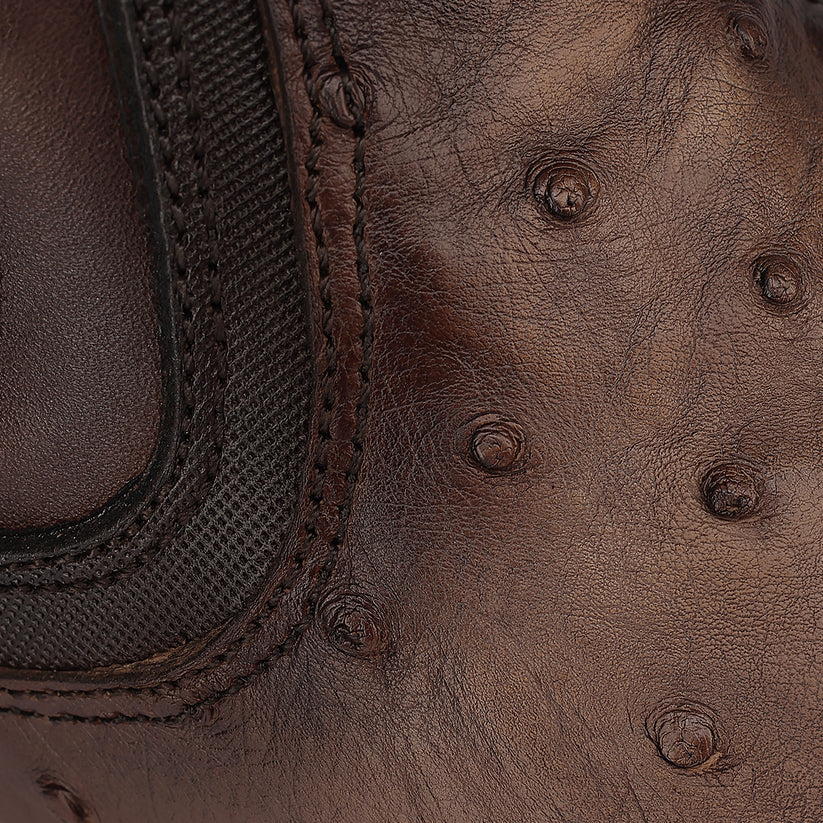 Brown Ostrich Zipper & Elastic Square Toe