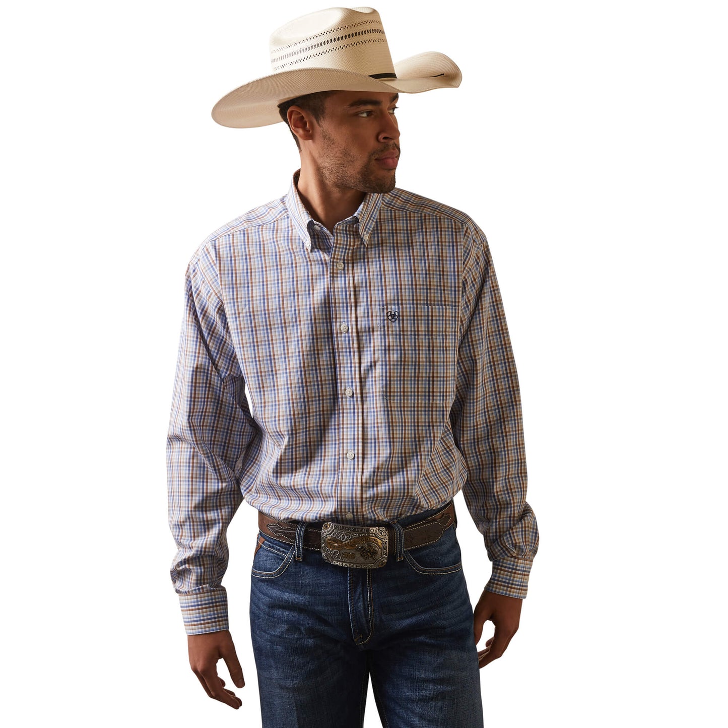 Wrinkle Free Arther Classic Fit Shirt